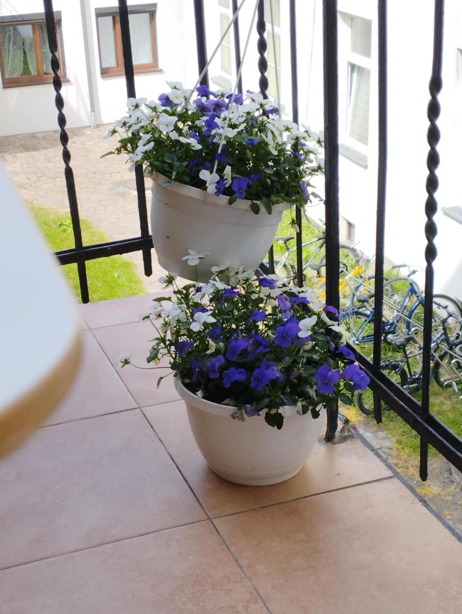 Angel House Aparthotel 3*