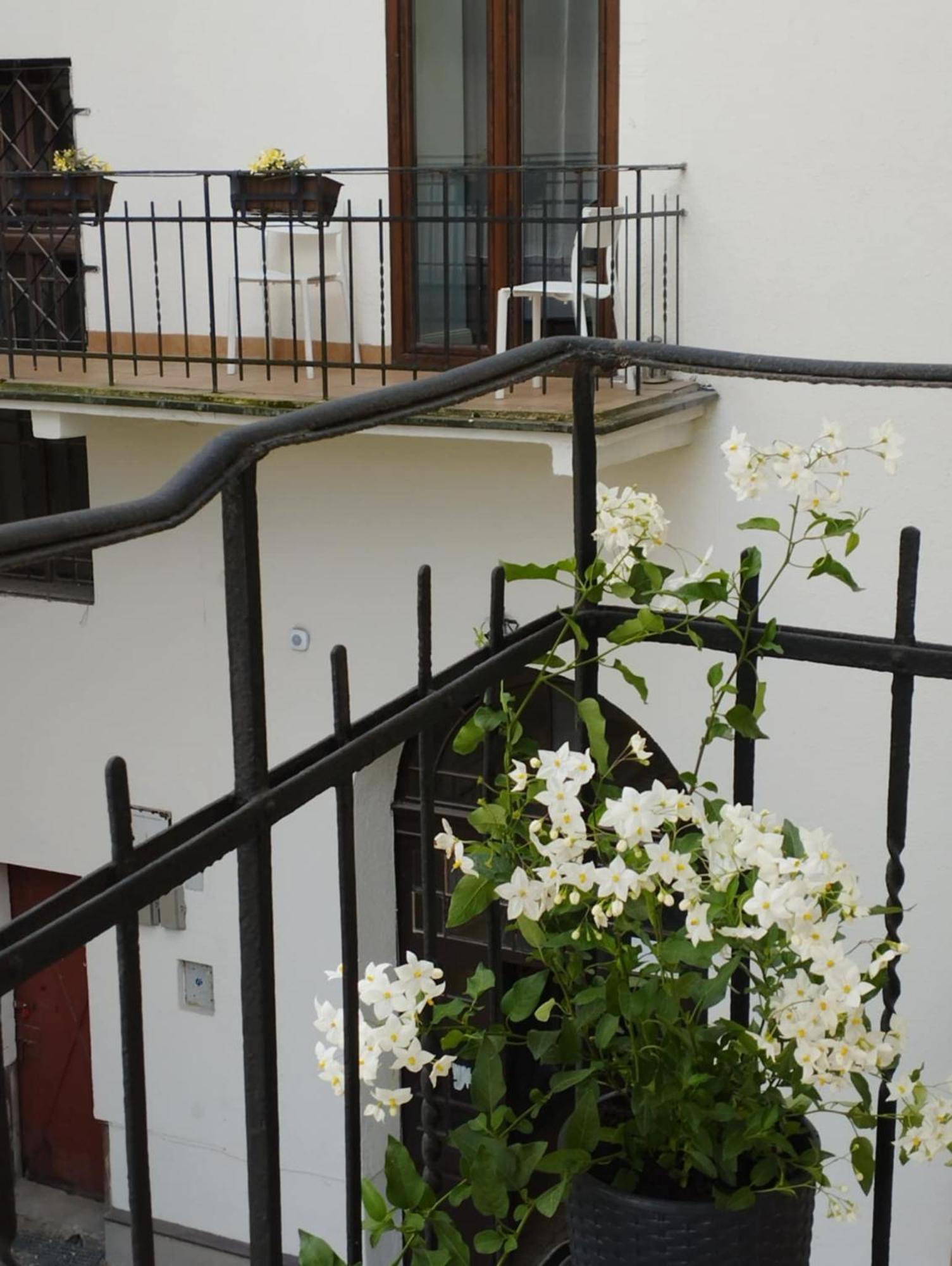 Aparthotel Angel House 3*